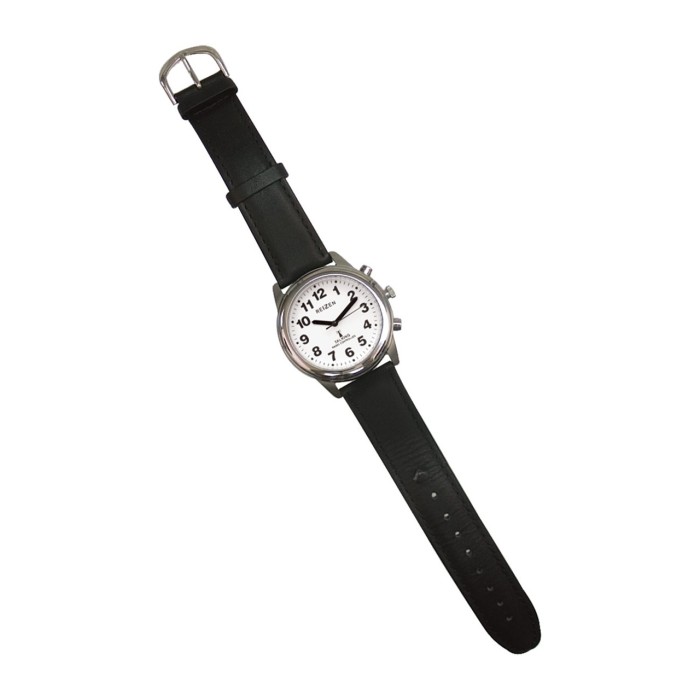 Talking Radio-Controlled Stainless Steel Watch - Leather